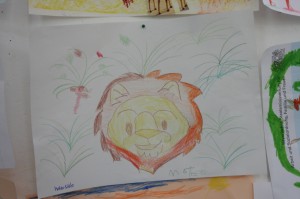 judosafari0318 